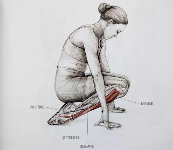 【全民健身】小腿又粗又硬？這套小腿拉伸法請收好！