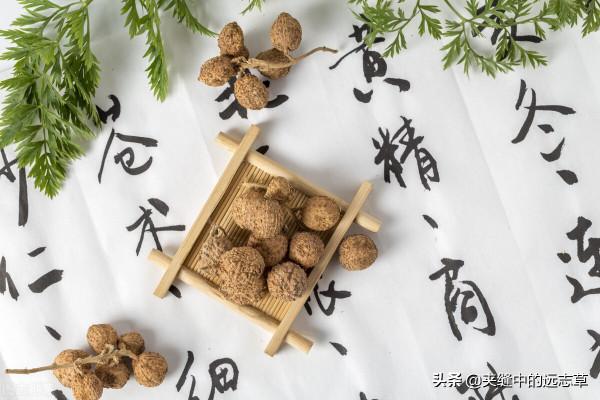 講兩個中成藥，給怎麼吃都吃不胖的瘦子增增肥