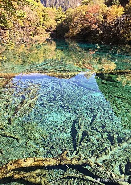 分享——令人迷幻的九寨溝