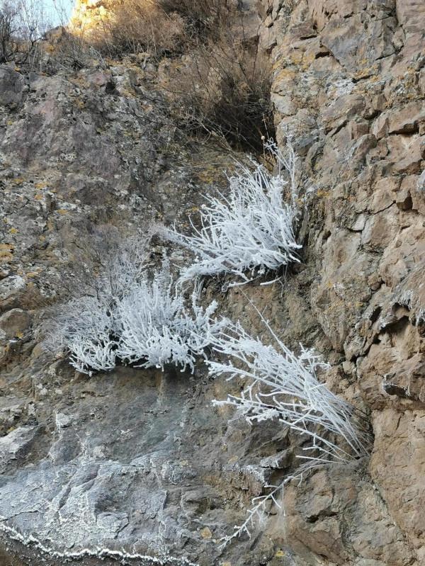 紅一師戰友軍嫂新年第一遊：宣化立石村滴冰喜煞人