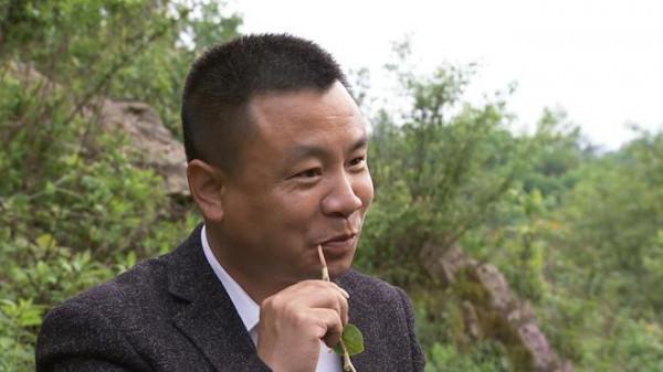 湖北大叔種植魚腥草，開發附加產品讓草價翻十倍，一年銷售千萬元