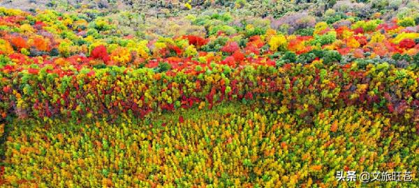 這裡的彩林美翻了！金秋，走進旺蒼米倉山