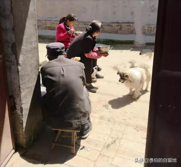 陪伴一家人十幾年的狗狗,早晨悄無聲息地消失了 陪伴一家人十幾年的狗狗,早晨悄無聲息地消失了