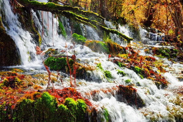 2021年國內旅行時間表出爐！承包你一整年的旅行