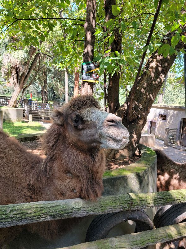 終結三星s21u和note20u選擇困難症