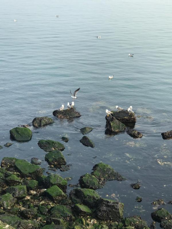 老年人的日常生活