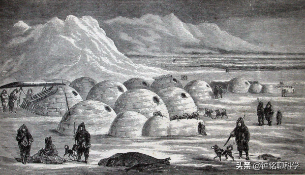 零下50℃！北極冬季成“苦寒之地”，愛斯基摩人如何在極地生活？