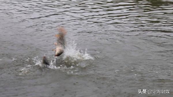 假期歡樂多 鄉村垂釣樂 假期歡樂多 鄉村垂釣樂