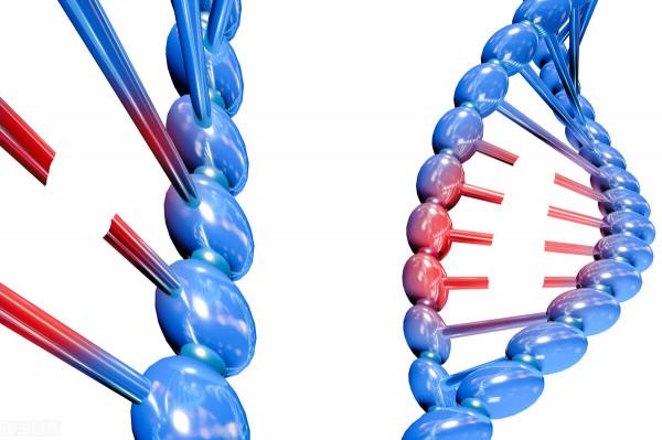 長期不發燒的人，更容易得癌症，這是真的嗎？醫生告訴您真相