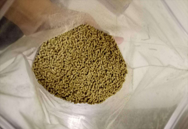 只要這麼做,偷驢也能快速聚魚、快速發窩 只要這麼做,偷驢也能快速聚魚、快速發窩