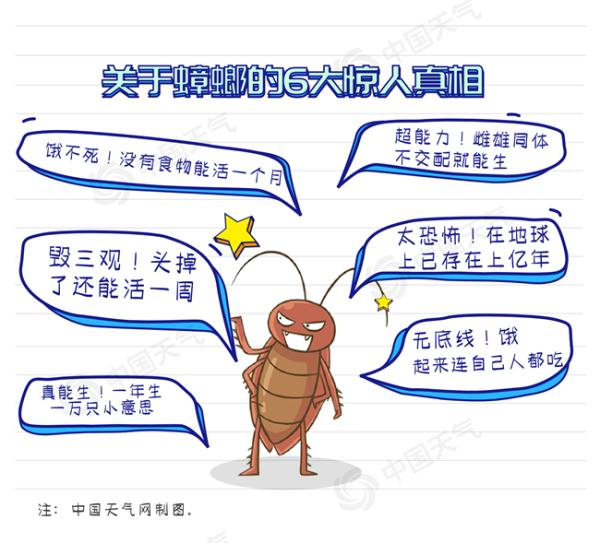 全國滅蟑姿勢地圖來了!看哪裡需要武力出擊 全國滅蟑姿勢地圖來了!看哪裡需要武力出擊