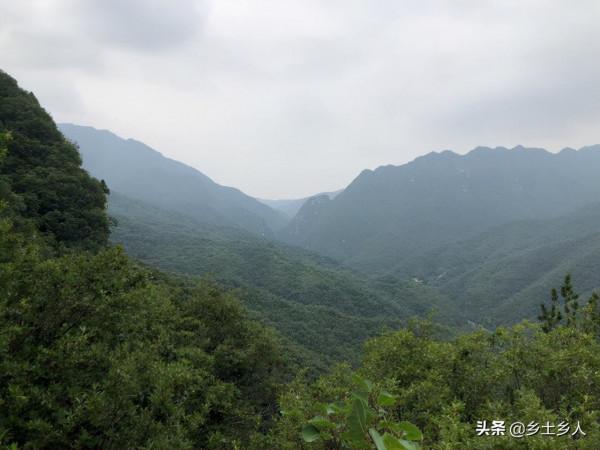 今年八月十七是秋分，俗語“秋分見龍歸，必定是豐年”，啥意思？