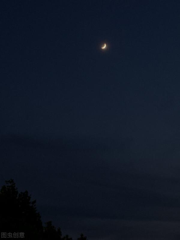 滿地都是六便士，他卻抬頭看見了月亮