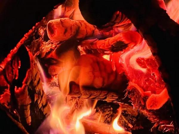 我的16年人生逆襲PLUS（下）從湯臣一品業主到再次租房