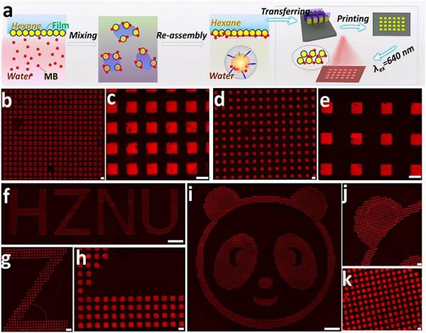 粒子組裝效率高達97.5%!中國學者提出超快速組裝術 粒子組裝效率高達97.5%!中國學者提出超快速組裝術