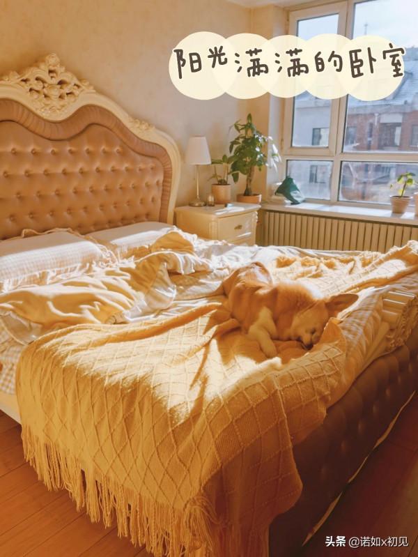 暖暖的陽光,秋冬天宅在家裡也太舒服了吧 暖暖的陽光,秋冬天宅在家裡也太舒服了吧