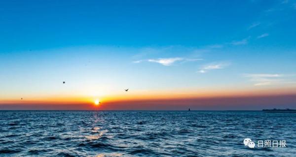 日照 · 冬 · “溼地精靈”​ 日照 · 冬 · “溼地精靈”​