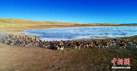 這輩子一定要去趟這個公園 在這裡“有種愛叫放手” 這輩子一定要去趟這個公園 在這裡“有種愛叫放手”