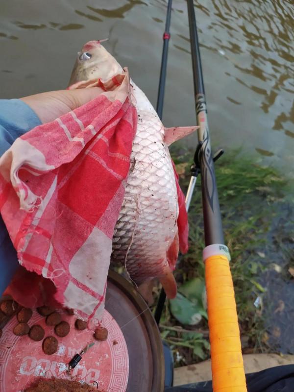 6級北風，阻擋不了我釣魚的熱情