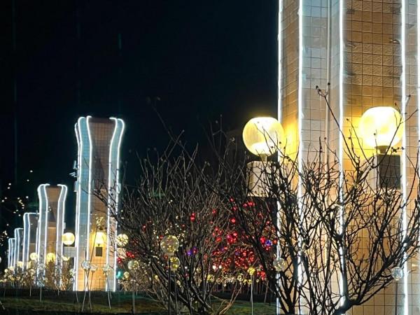 沒有煙花爆竹的大年有驚喜