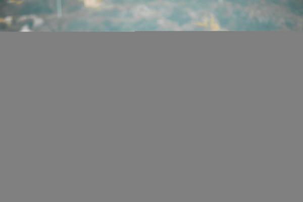 成為打工人的第365天，我連夜逃走去釣魚