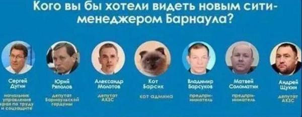 給大家看一下戰鬥民族是怎樣吸貓的？彪悍的貓咪能拉雪橇敢揍熊