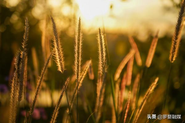 武定己衣打造“最美鄉村公路”