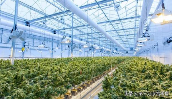 社群電商的兩隻抓手：向上推動產業鏈佈局，向下挖掘縣域消費潛力