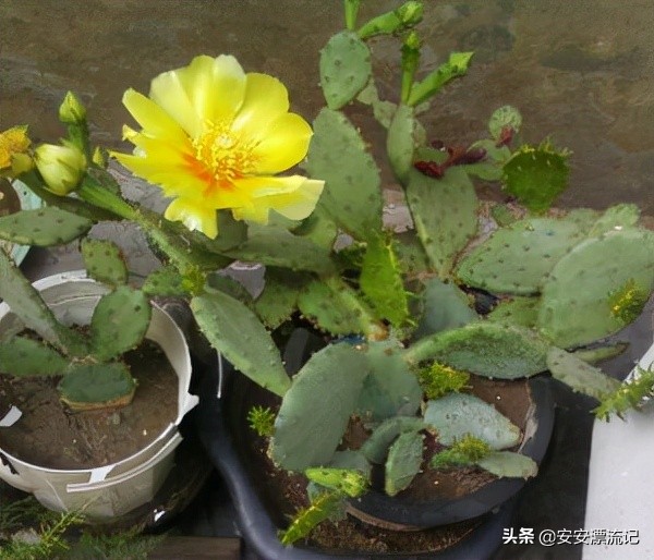 為什麼有些人喜歡挑別人的刺？愛挑刺的人是自卑的表現嗎？