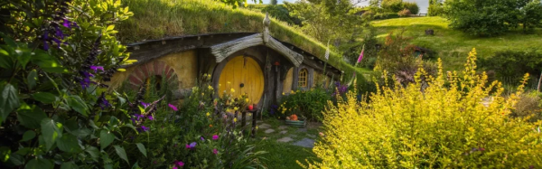 這誰敢相信：在紐西蘭，一頭海豹竟然遊進了旅遊勝地霍比屯