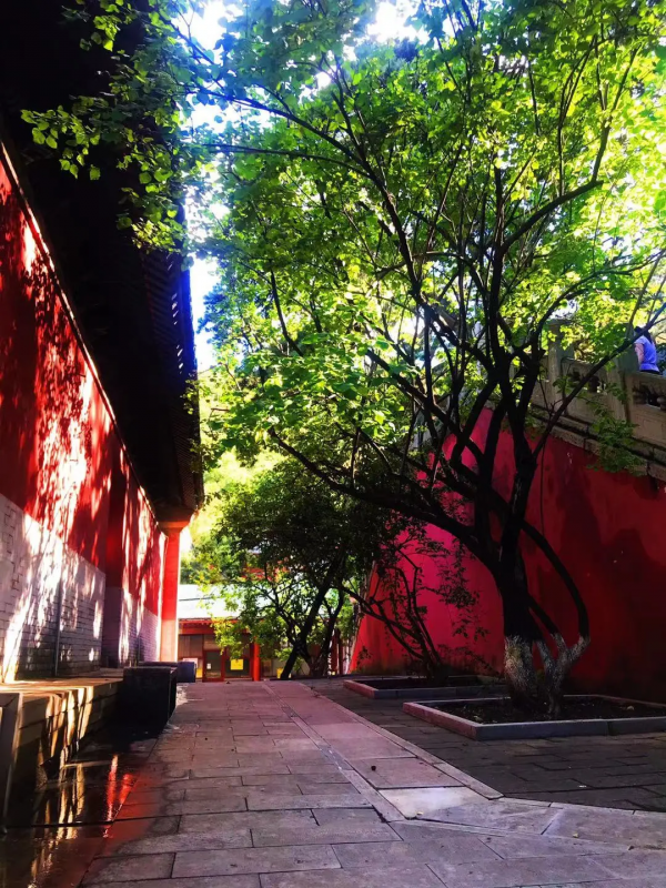 初秋到戒臺寺尋覓禪境，還有佛教最高等級的戒壇可以參觀~