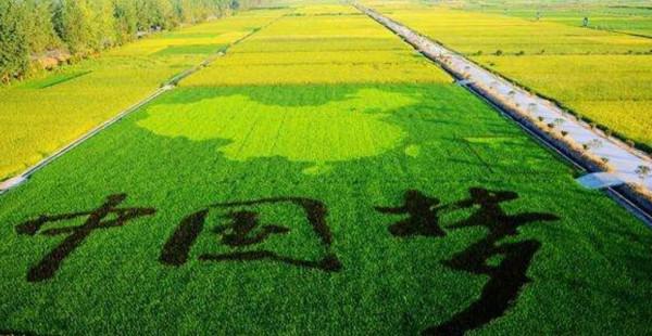 “中國農業產業商城”帶動西南農產品走向全球