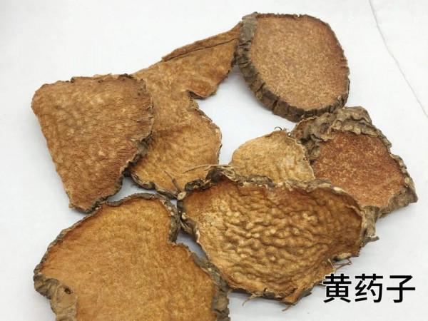 每天學習一味中藥——黃藥子
