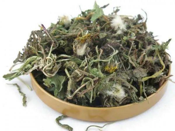 國醫大師張大寧：治療慢性腎炎經驗