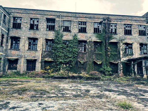 滄桑故事 回望茶城