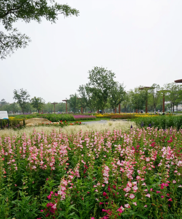 京城這個爆火的4A級景區，你打卡了嗎？快收下這份經典路線攻略，跟著走就行！