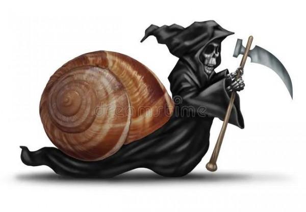 什麼習慣會讓人長壽