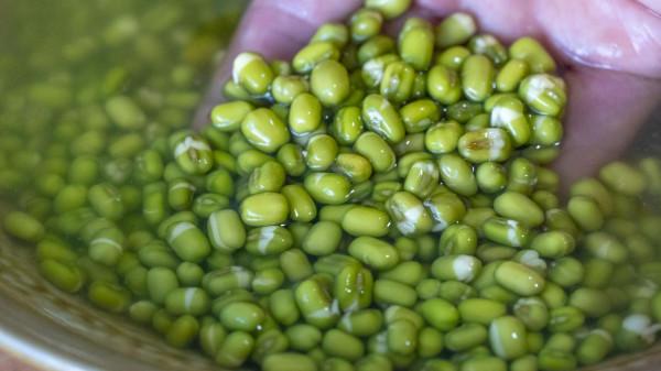 下班晚餐吃什麼？一週食譜已備好，營養均衡又下飯，到家照做就行