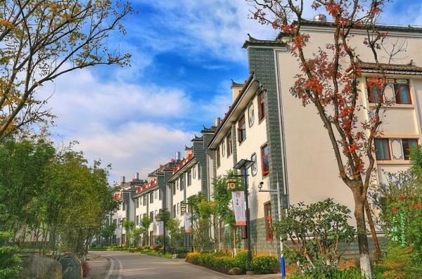 雲南第一村：家家住別墅，各種福利令人羨慕，環境不亞於華西村