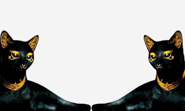 黑貓招邪還是辟邪?來看看世界各地關於黑貓的說法能有多離譜 黑貓招邪還是辟邪?來看看世界各地關於黑貓的說法能有多離譜