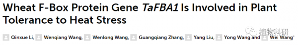 FIPS|山東農業大學研究團隊利用Y2H技術揭示了小麥 F-Box 蛋白基因TaFBA1與植物對熱脅迫的耐受性有關