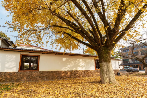 10個藏在深山不為人知的古村落，竟是絕美的“世外桃源”