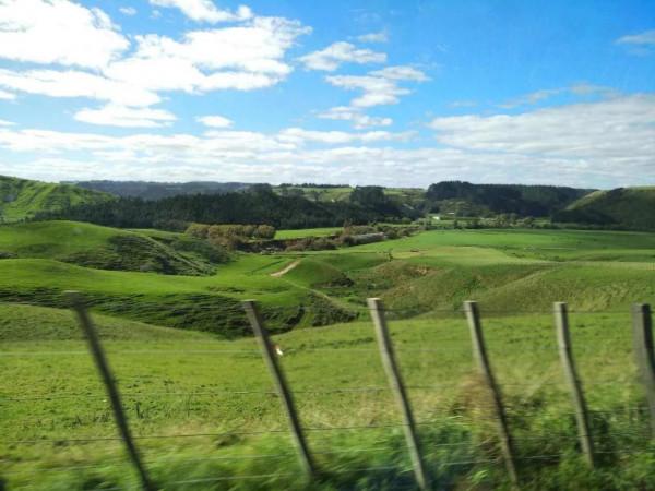 騎在羊背上的國家？