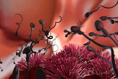 太空受孕實驗：美俄究竟有沒有做過？失重狀態的影響到底有多大？