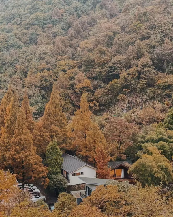 租下水電站改成別墅：梧桐環肆，初冬一到美得像是美齡宮
