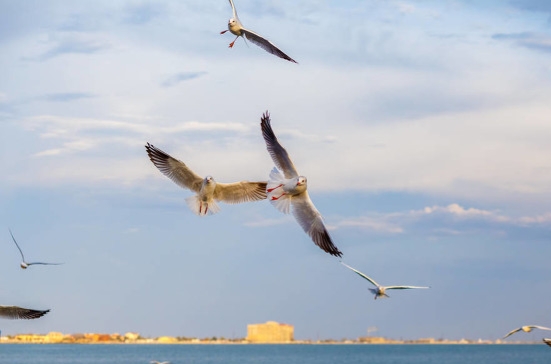 且夫水厚積，則培風翼積
