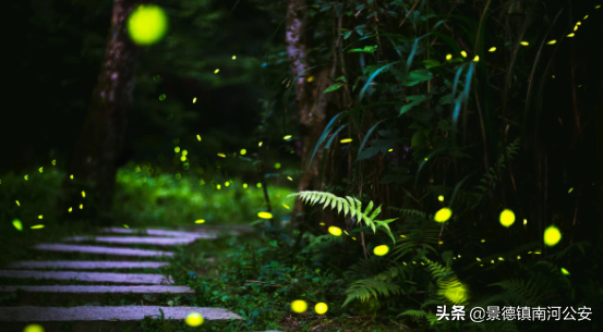 詩詞｜8首夏夜詩詞：看古代詩人們的夏夜是如何度過的？