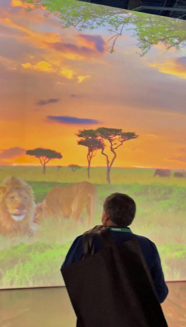 2022 年 CES 仍然提供一些投影機新聞