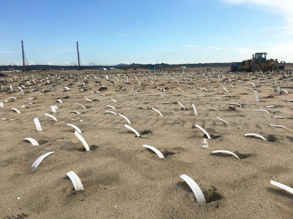 塑膠排水板聯合真空預壓施工工藝流程和注意事項 塑膠排水板聯合真空預壓施工工藝流程和注意事項