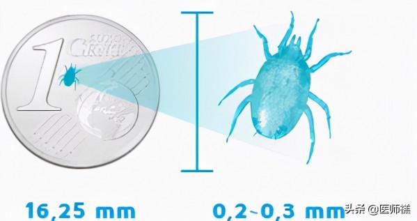 還在想方設法除蟎？別再費盡心思了，核心技巧不掌握就是做無用功